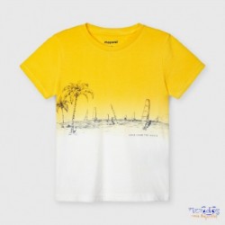 Camiseta m/c dip dye